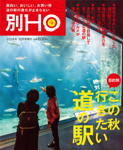 2018N915 Vol.ʍ  600yeniōj